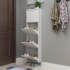 Customizable Shoe Storage Cabinet