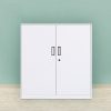 1 (2) Steel Low Cabinet with Drawers & Doors-001