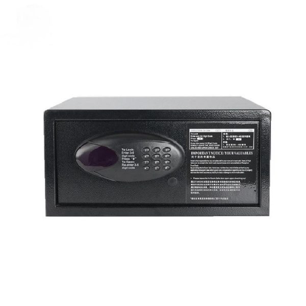 1 Electronic Safe-002