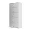 Steel Office Filing Cabinet with Glass Doors-001