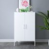 Metal Storage Cabinet-001