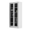 Steel Office Filing Cabinet with Glass Doors-001