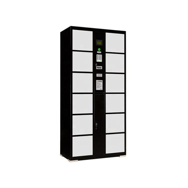 Smart Luggage Locker-001