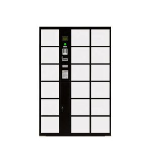 Smart Luggage Locker-001