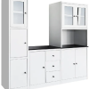 Steel Kitchen Cabinet with Glass Doors