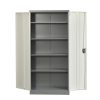 Double Door File Cabinet with Lightning Lock