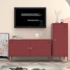 Modern Steel TV Cabinet for Living Room