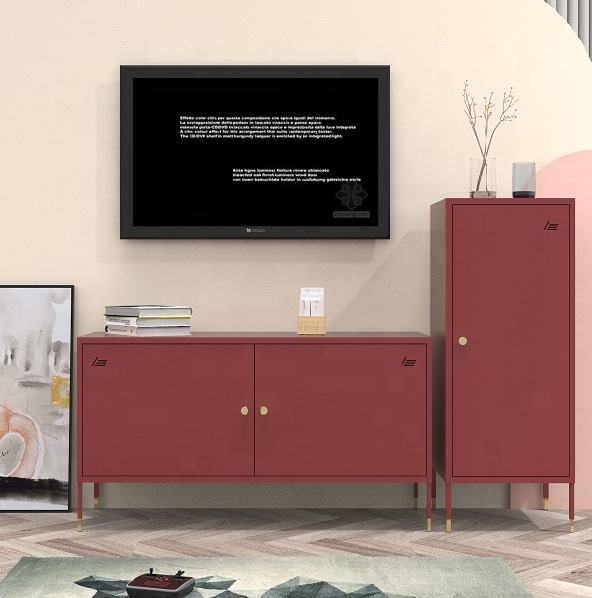 Modern Steel TV Cabinet for Living Room