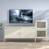 Modern Steel TV Cabinet for Living Room