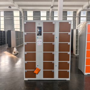 18-compartment smart electronic locker unit for self-service storage, Supports 4G and Wi-Fi and support for electronic payments