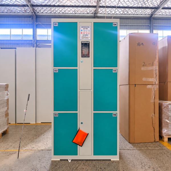 Smart lockers, 6-Door Steel Locker support access via PIN, facial recognition, and fingerprint, suitable for supermarkets, shopping malls, and gyms